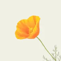 Four Winds Bible Study